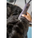 Wahl Professional KM10+ - 1 Stk