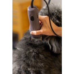 Wahl Professional KM10+ - 1 Stk