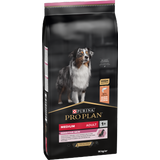Medium Adult Sensitive Skin Ricco in Salmone