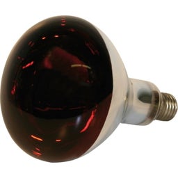 Kerbl Infrarotlampe Hartglas, rot - 150 Watt