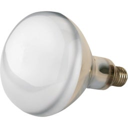 Kerbl Infrarotlampe Hartglas, klar - 150 Watt