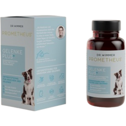 PROMETHEUS® by Dr. Wimmer Gelenke Plus - 60 Tabletten