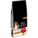 Medium Adult Rich in Chicken, 14 kg