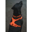 Ruffwear Front Range™ Halsband Blaze Orange - 28 - 36 cm