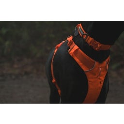 Ruffwear Collare Front Range™ - Blaze Orange - 28 - 36 cm