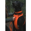 Ruffwear Front Range™ Halsband Blaze Orange - 28 - 36 cm