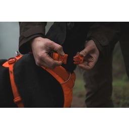 Ruffwear Collare Front Range™ - Blaze Orange - 28 - 36 cm