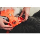 Ruffwear Web Master™ Geschirr Blaze Orange - M