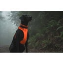 Ruffwear Pettorina Web Master™ - Blaze Orange - M