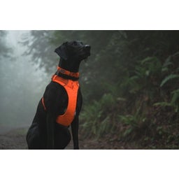 Ruffwear Pettorina Web Master™ - Blaze Orange - M