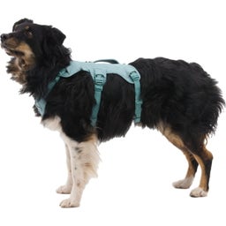 Ruffwear Pettorina Web Master™ - Rock Green - M