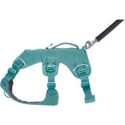 Ruffwear Pettorina Web Master™ - Rock Green - M