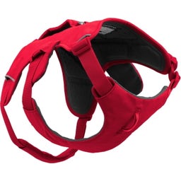 Ruffwear Pettorina Web Master™ - Red Canyon - M