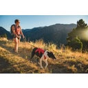 Ruffwear Pettorina Web Master™ - Red Canyon - M