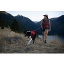 Ruffwear Web Master™ Geschirr Red Canyon - M