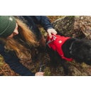 Ruffwear Web Master™ Geschirr Red Canyon - M