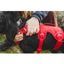 Ruffwear Pettorina Web Master™ - Red Canyon - M