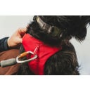 Ruffwear Pettorina Web Master™ - Red Canyon - M