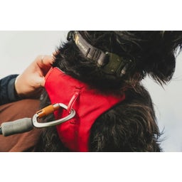 Ruffwear Web Master™ Geschirr Red Canyon - M