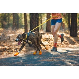 Ruffwear Summit Trex™ Hundeschuhe Sunrise Yellow - 38 mm