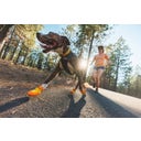 Scarpe per Cani Summit Trex™ - Sunrise Yellow - 57 mm