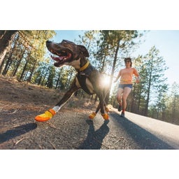 Ruffwear Summit Trex™ Hundeschuhe Sunrise Yellow - 38 mm