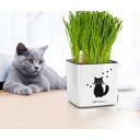 Lechuza Vaso da Tavolo - CUBE Glossy CAT 14 - bianco lucido