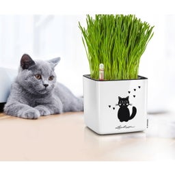 Lechuza Vaso da Tavolo - CUBE Glossy CAT 14 - bianco lucido