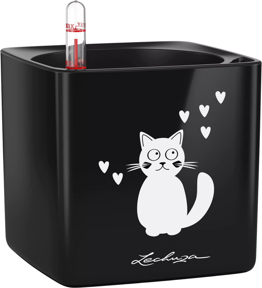 Lechuza Tischgefäß CUBE Premium CAT 14 - schwarz-highgloss