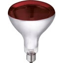 Kerbl Infrarotlampe Hartglas, rot - 150 Watt