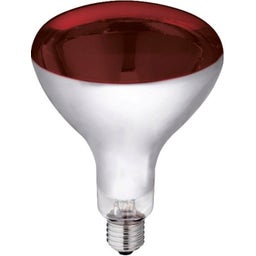 Kerbl Infrarotlampe Hartglas, rot - 150 Watt