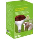 Kerbl Infrarotlampe Hartglas, rot - 150 Watt