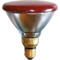 Kerbl Sparlampe PAR38 rot - 100 Watt