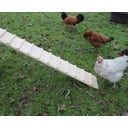 Kerbl Houten Kippenladder - 115 x 18 x 3 cm