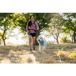 Ruffwear Stash Bag Mini™- Poepzakjesdispenser - Coastal Mountains