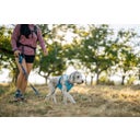 Ruffwear Stash Bag Mini™- Poepzakjesdispenser - Coastal Mountains