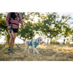 Ruffwear Stash Bag Mini™- Poepzakjesdispenser - Coastal Mountains