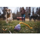 Ruffwear Huck-a-Cone™ Toy - Purple Orchid