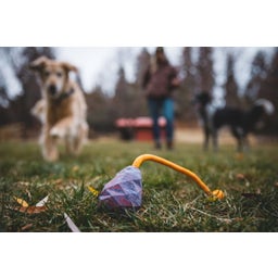 Ruffwear Huck-a-Cone™ Toy - Purple Orchid