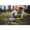 Ruffwear Huck-a-Cone™ Toy - Purple Orchid
