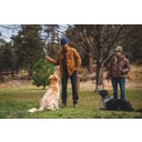Ruffwear Gnawt-a-Stick™ Toy - Purple Orchid