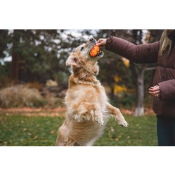 Ruffwear Gnawt-a-Cone™ Toy - Salamander Orange