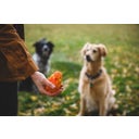 Ruffwear Gnawt-a-Cone™ Toy - Salamander Orange