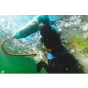 Ruffwear Lunker™ Toy - Biolumin Blue Medium