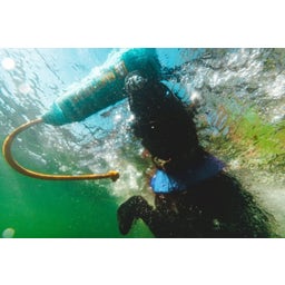 Ruffwear Lunker™ Toy - Biolumin Blue Medium