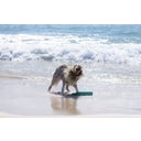 Ruffwear Lunker™ Toy - Biolumin Blue Medium