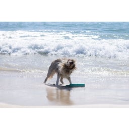 Ruffwear Lunker™ Toy - Biolumin Blue Medium