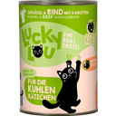 Lucky Lou Lifestage Kitten Geflügel & Rind