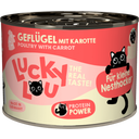 Lucky Lou Lifestage Kitten Geflügel