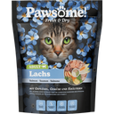 Pawsome! Fresh & Dry Adult Lachs - 750 g